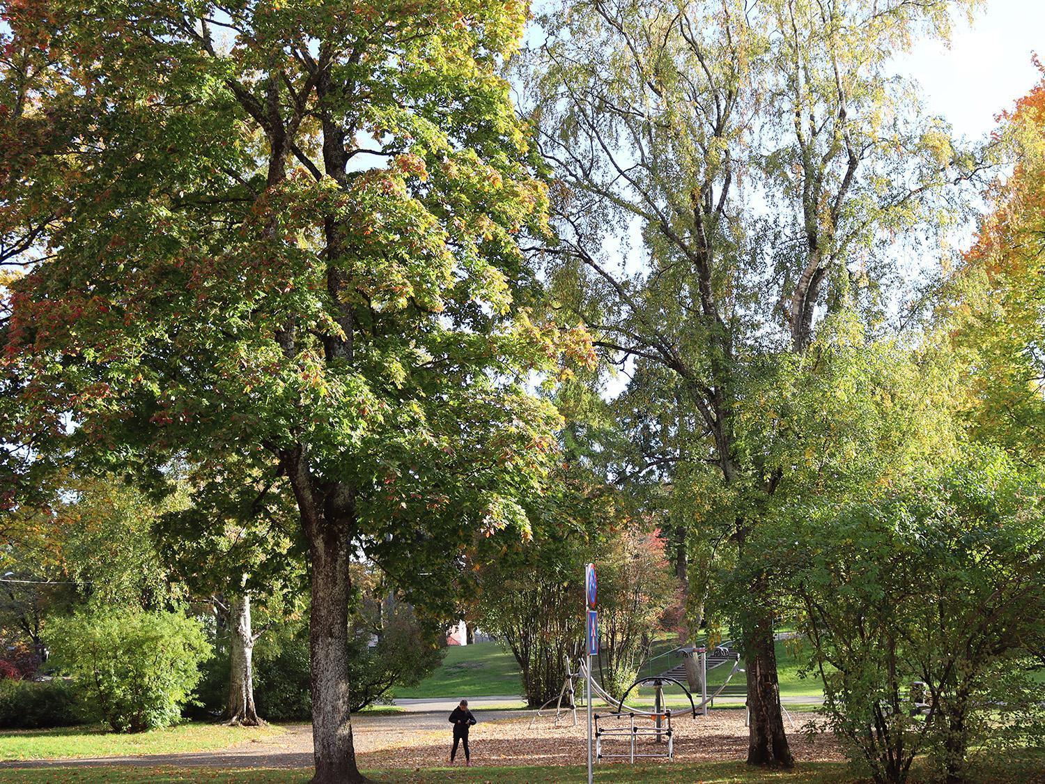 Hostel Louna Пярну Екстер'єр фото